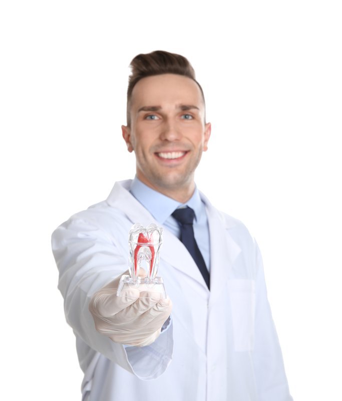Dentist showing tooth model to explain root canal signs at Sedation Dental Spa